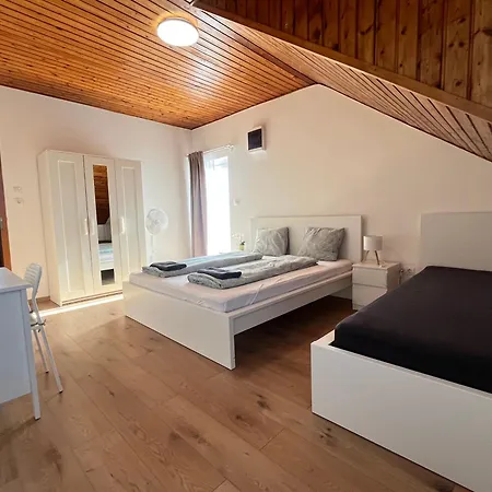 Leaf Song بودابست