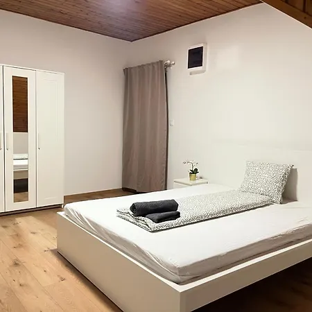 Leaf Song 布达佩斯