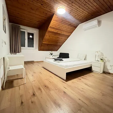 Apartment Leaf Song *