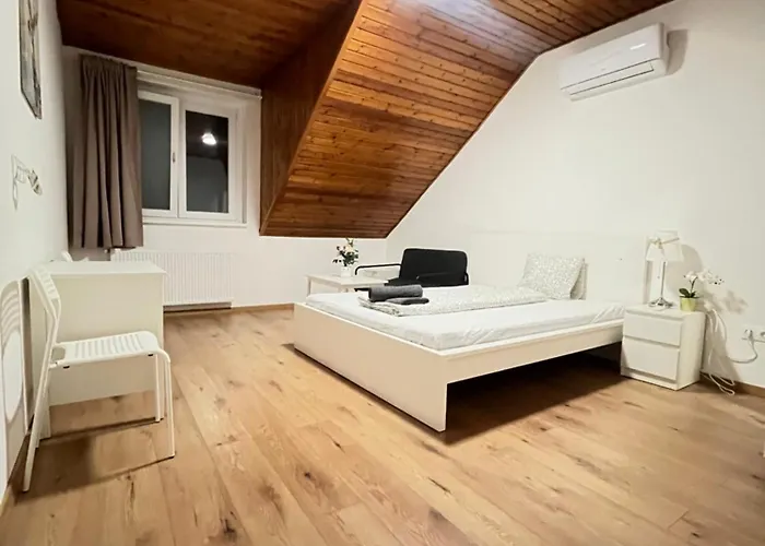 Apartamento Leaf Song *